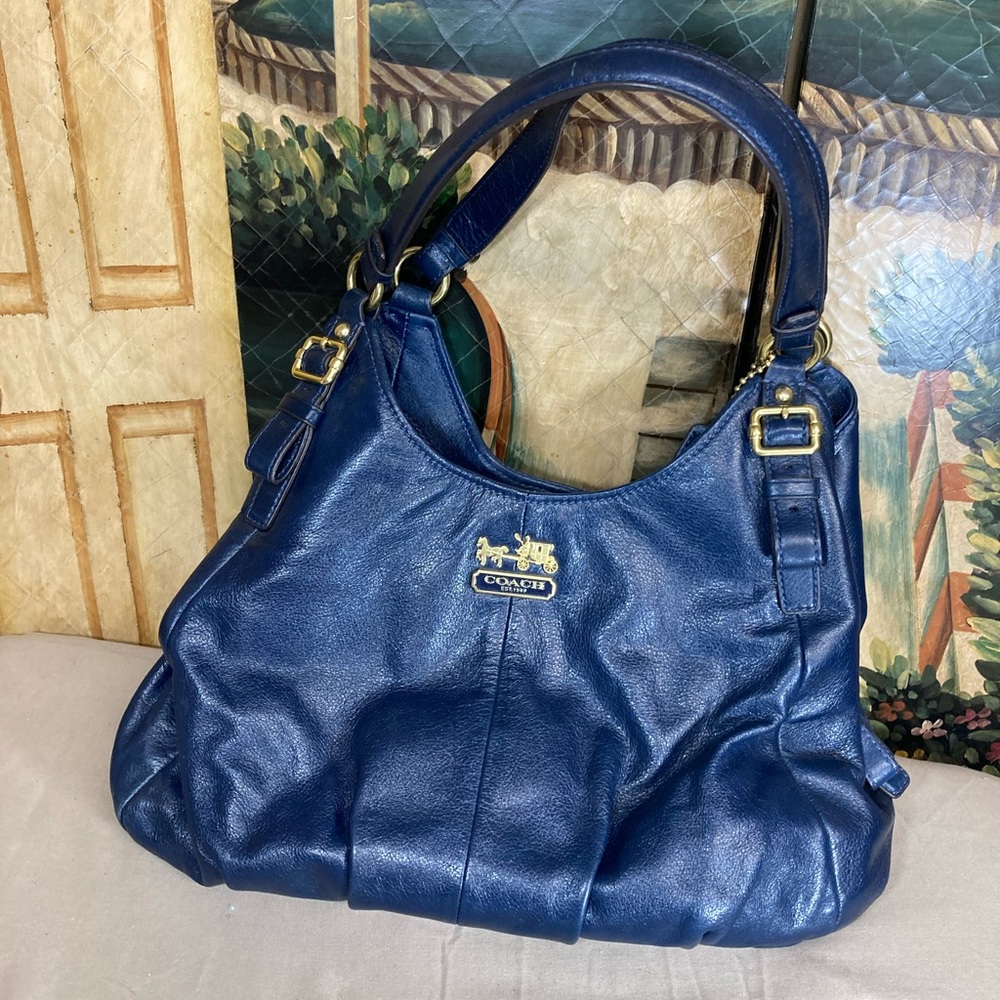 Blue Coach (BFPM-12-075)